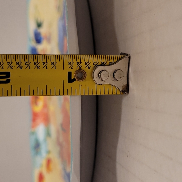 NWT Set of 4 Pioneer Woman Melamine, Delaney Plates - Picture 14 of 14